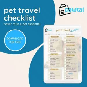 Pet travel checklist