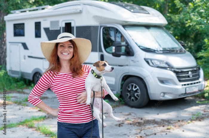 Road beaglesandbargains Tips for pet-friendly road trips