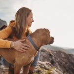 Traveling with pets internationally