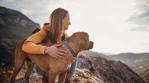 Traveling with pets internationally